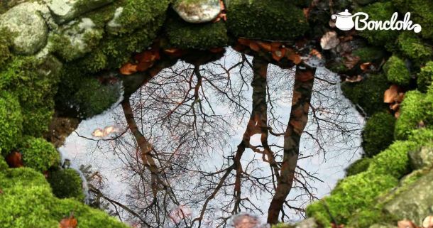 Głęboka studzienka, głęboko kopana