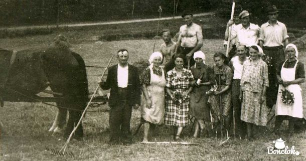 Rajtary i łostropce, czyli sianokosy dawniej